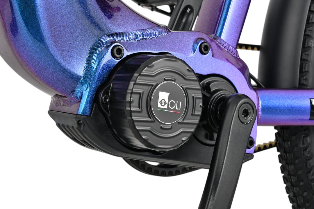 Cruiser High Step 27.5