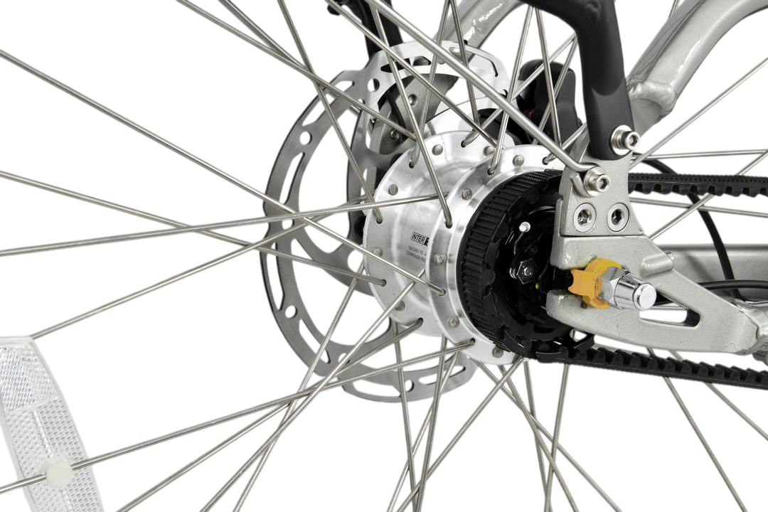 Trail Bike Dual Battery