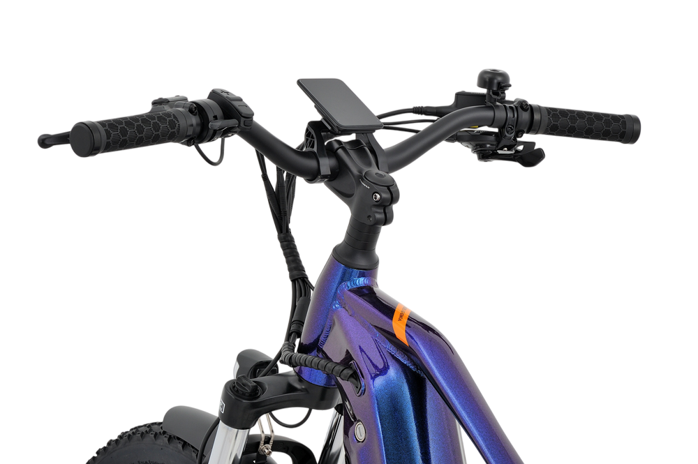 Cruiser High Step 29