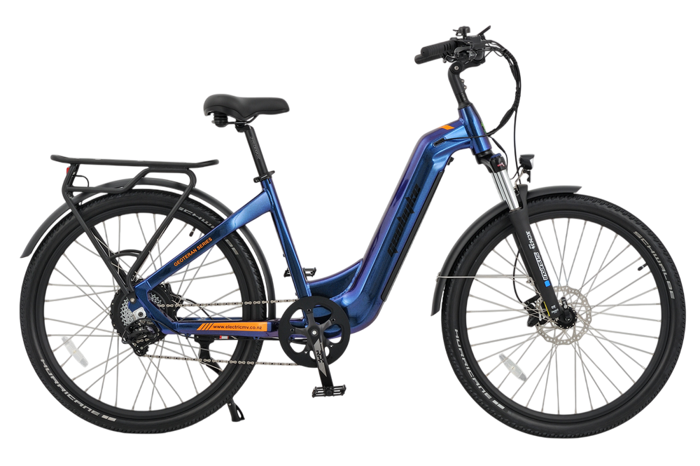 Cruiser Low Step 29