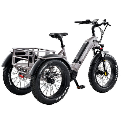 E-Trike