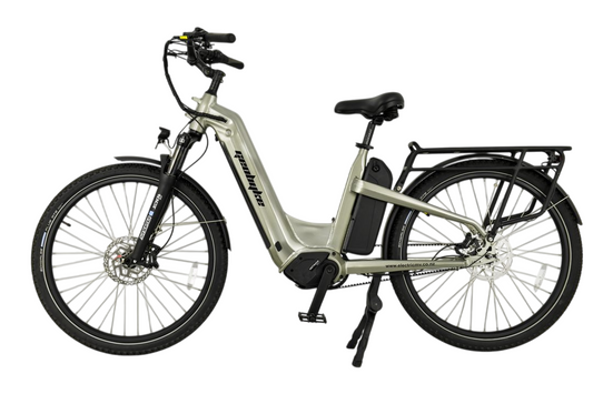 Trail Bike Dual Battery