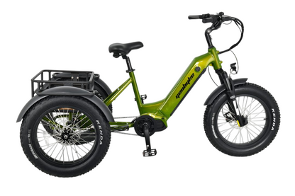 Trike 20-inch