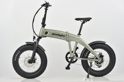 Folding E-Bike