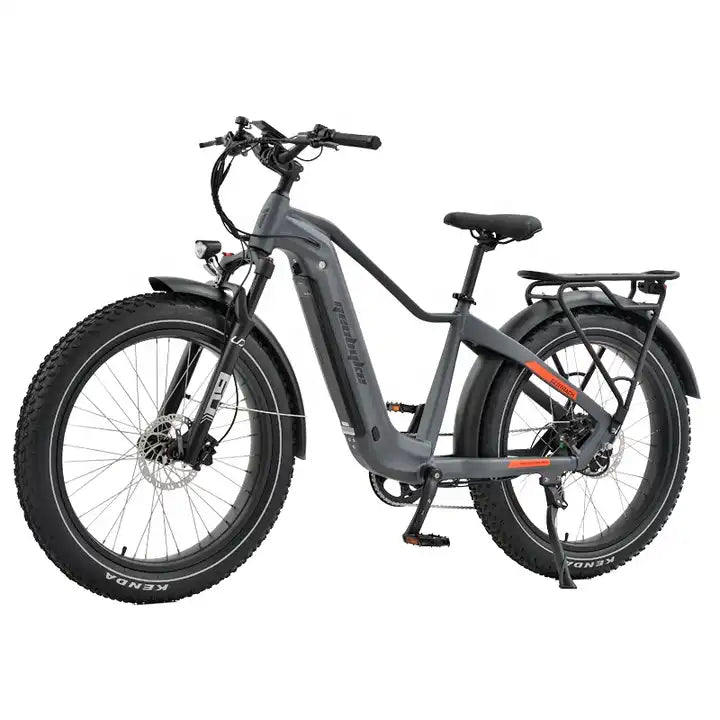 Comfy E-Bike