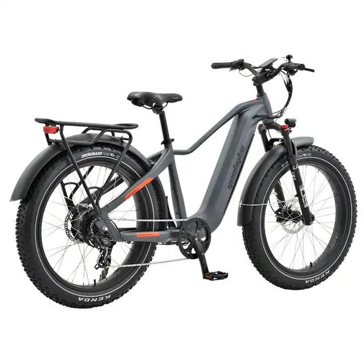 Comfy E-Bike